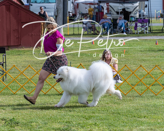 20230513-DSC00857