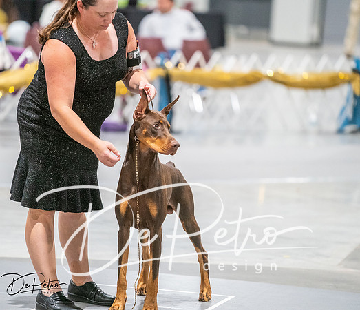 20260926-DSC04066