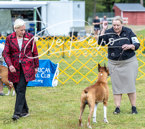 20230513-DSC07581
