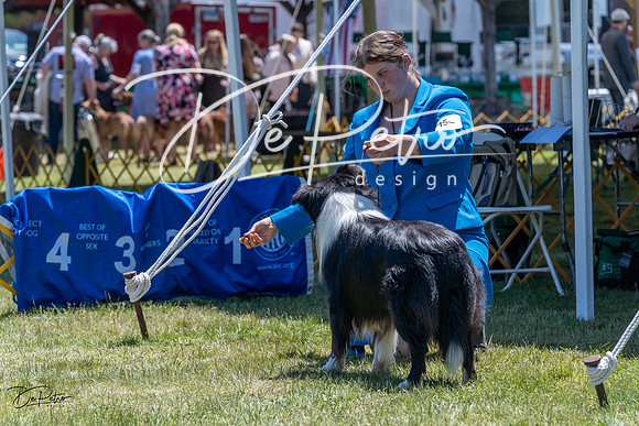 20230514-DSC04940