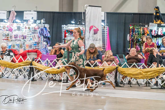 20260927-DSC05514