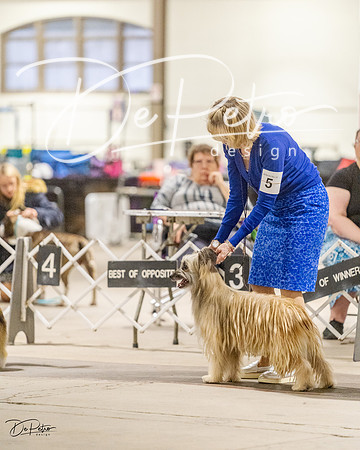 20230401-DSC08130