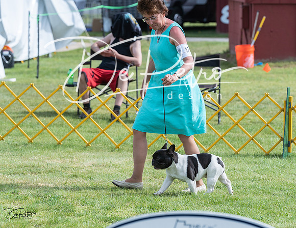20230513-DSC00249