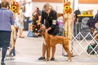 20261024-DSC08346
