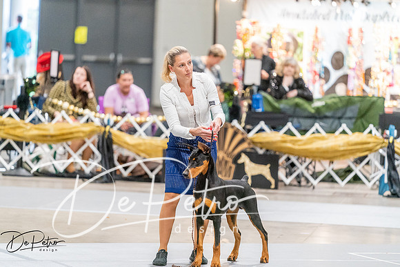 20260930-DSC07063