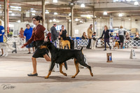 20230331-DSC05381
