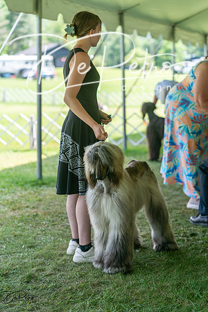 20240630-DSC01756