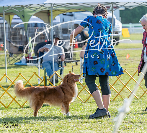 20230513-DSC02484