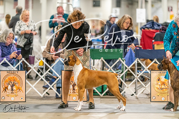20261022-DSC00385