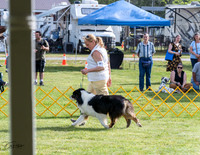 20230513-DSC01178