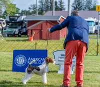 20230512-DSC07002