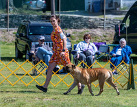 20230514-DSC03551