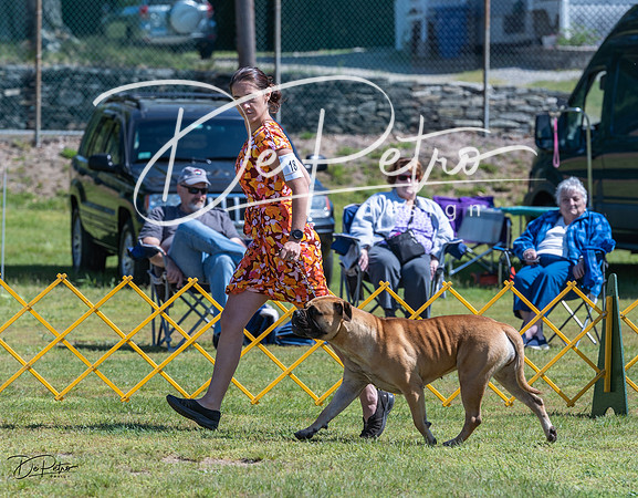 20230514-DSC03551