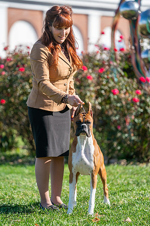 20261024-DSC01053