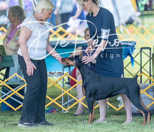 20230513-DSC08936