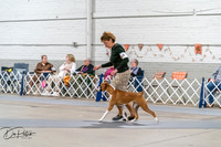 20261022-DSC00051