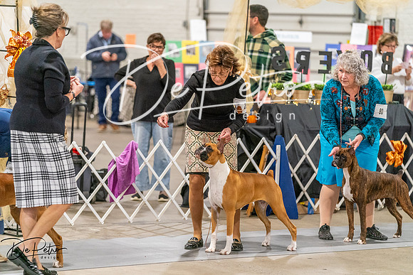 20261022-DSC00586