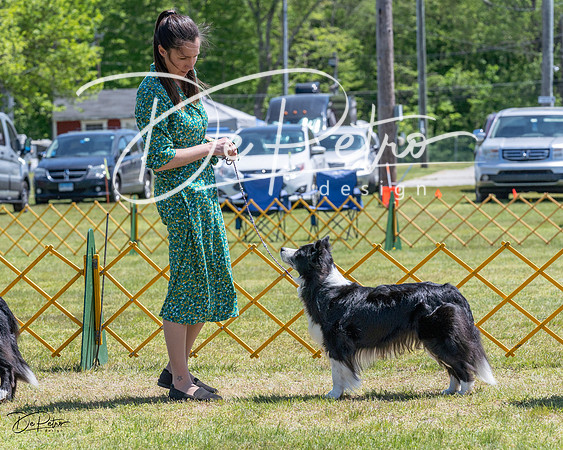20230514-DSC04768