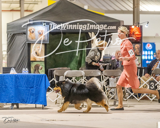 20230401-DSC07924