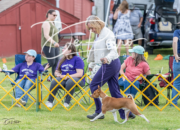 20230512-DSC03734