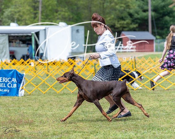 20230513-DSC08538