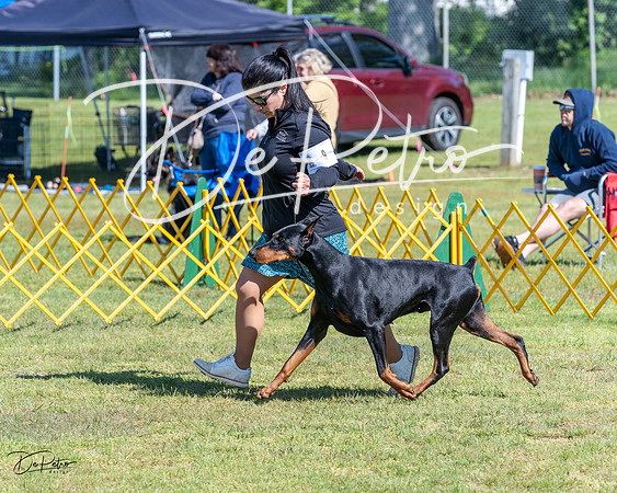 20230514-DSC03135