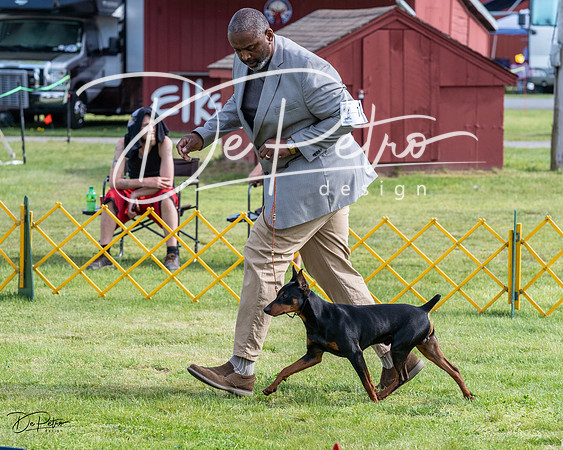 20230513-DSC01153