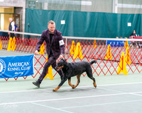 20261017-DSC08438