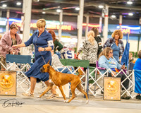 20261022-DSC01516