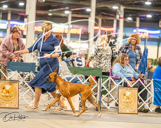 20261022-DSC01516