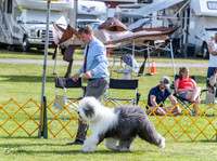 20230513-DSC01209