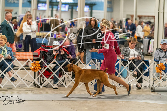 20261023-DSC05701