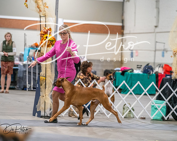 20261022-DSC02922