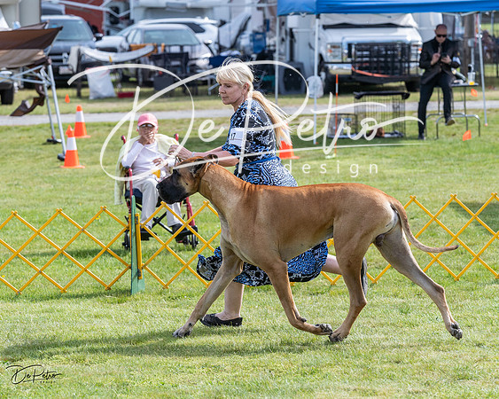 20230513-DSC00491