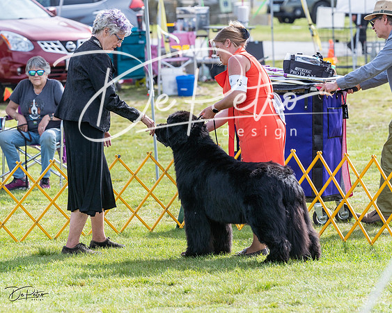 20230513-DSC00948