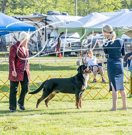 20230513-DSC02350