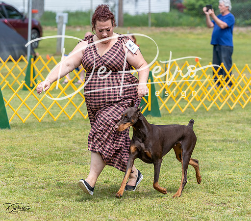 20230513-DSC08419