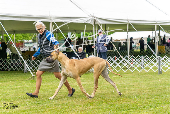 20230427-DSC02758