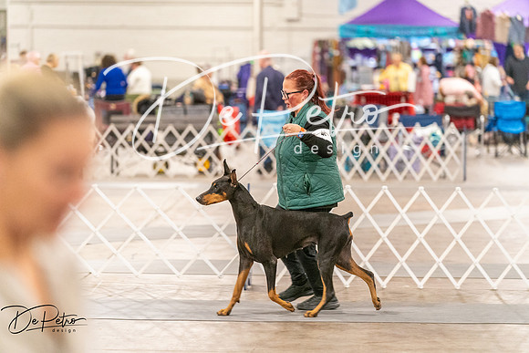 20261024-DSC00870