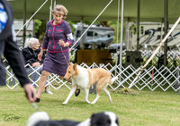 20230427-DSC06700