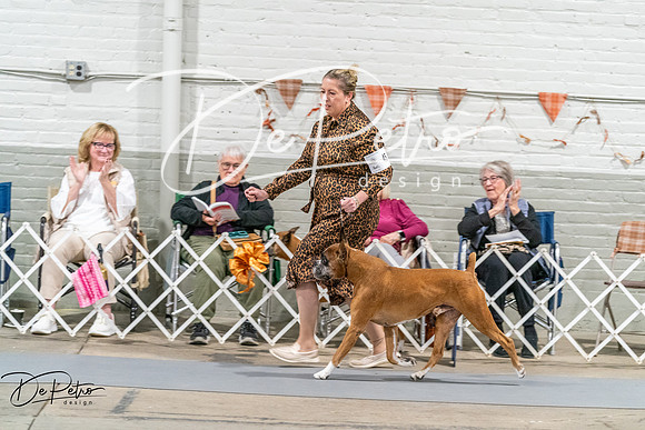 20261022-DSC00738