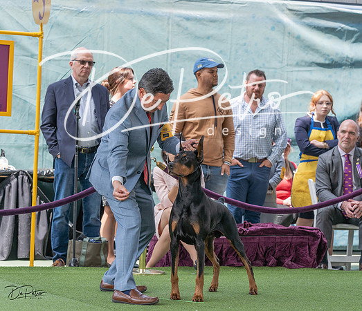20230509-DSC01343