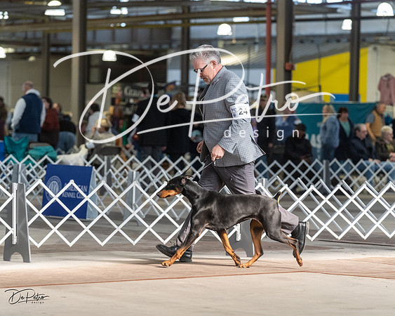 20230402-DSC08735