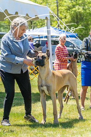 20230514-DSC07996