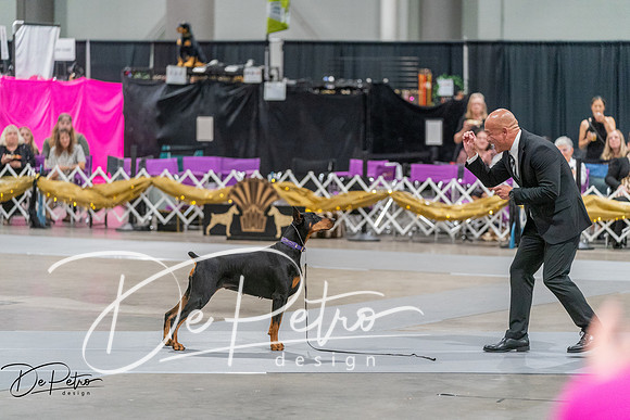 20260928-DSC06042