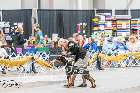 20261002-DSC07434
