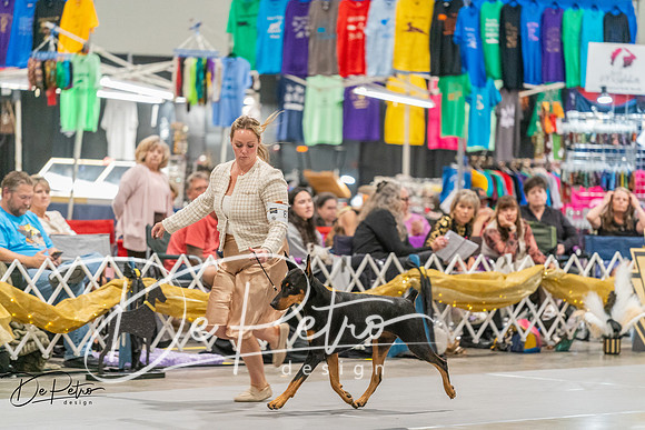 20260927-DSC05670