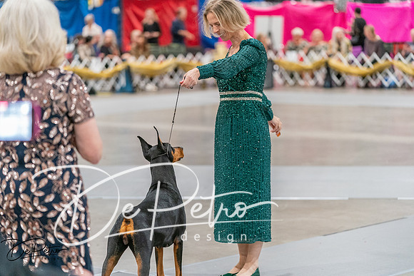 20260928-DSC05840