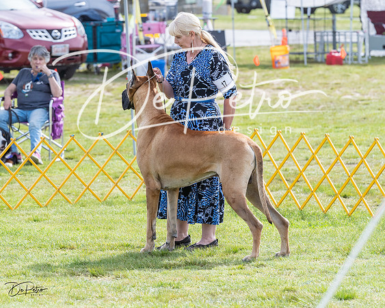 20230513-DSC00735