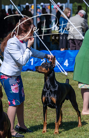 20230514-DSC03471